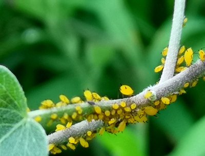 }(ch)xķҪϵy(tng)ĿƣA(y)